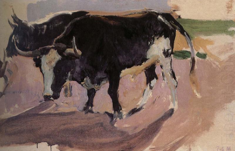 Joaquin Sorolla Bull Project china oil painting image